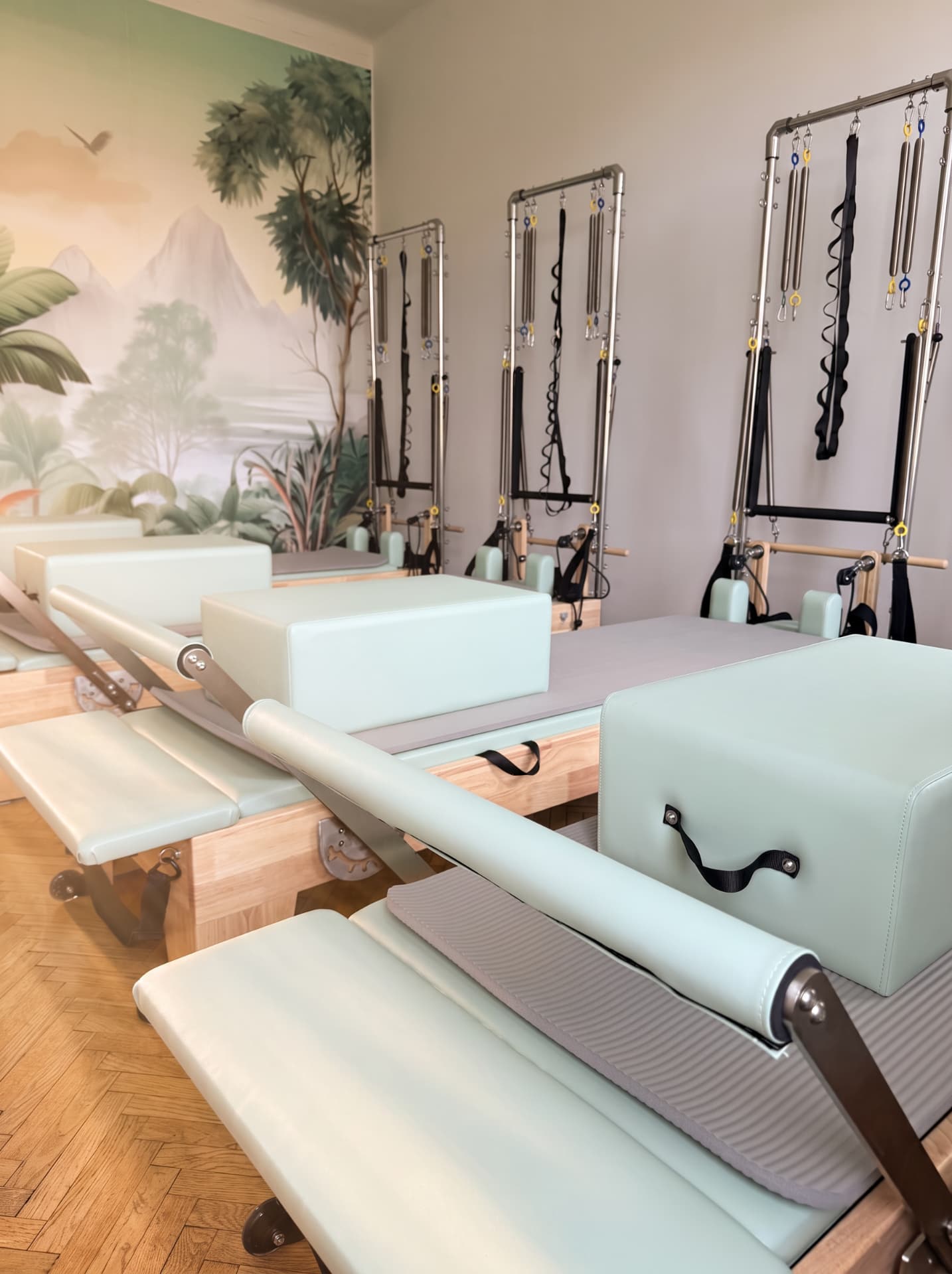Reformer-Raum von Spot On Pilates mit salbeigrünen Geräten und Dschungel-Wandbild